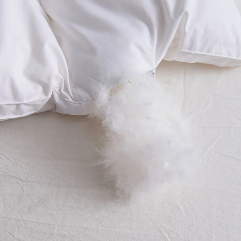 Duck Down Quilt suppliers