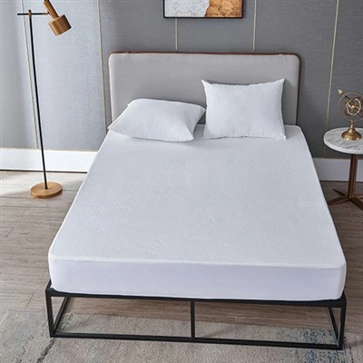 Coral Fleece WaterProof Mattress Protector