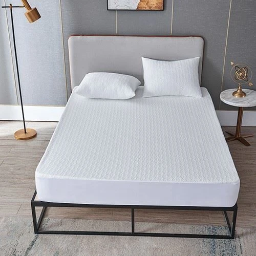 Tencel WaterProof Mattress Protector best
