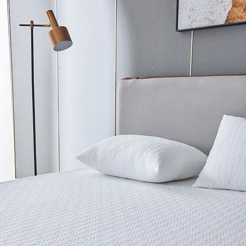 Tencel WaterProof Mattress Protector price