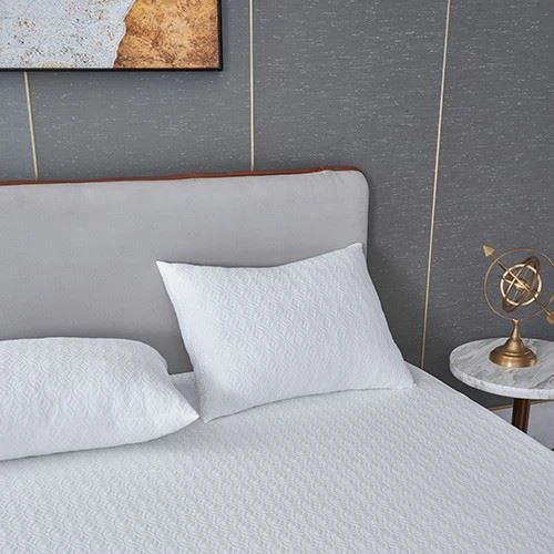 Tencel WaterProof Mattress Protector factory
