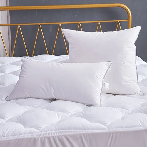 Two Layer Down Pillow