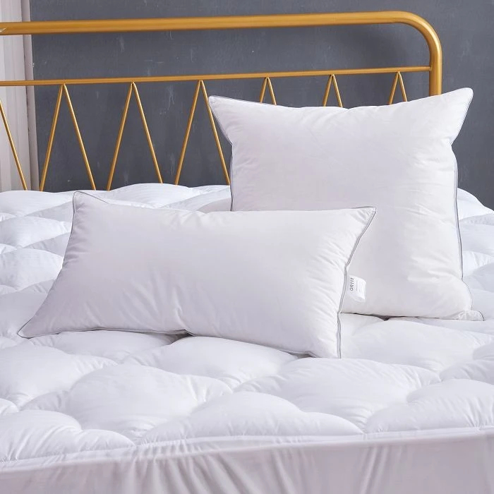 Two Layer Down Pillow best