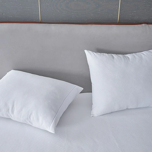 Two Layer Protection WaterProof Mattress Protector best