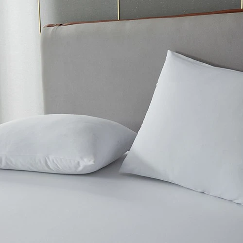 WaterProof Mattress Encasement best